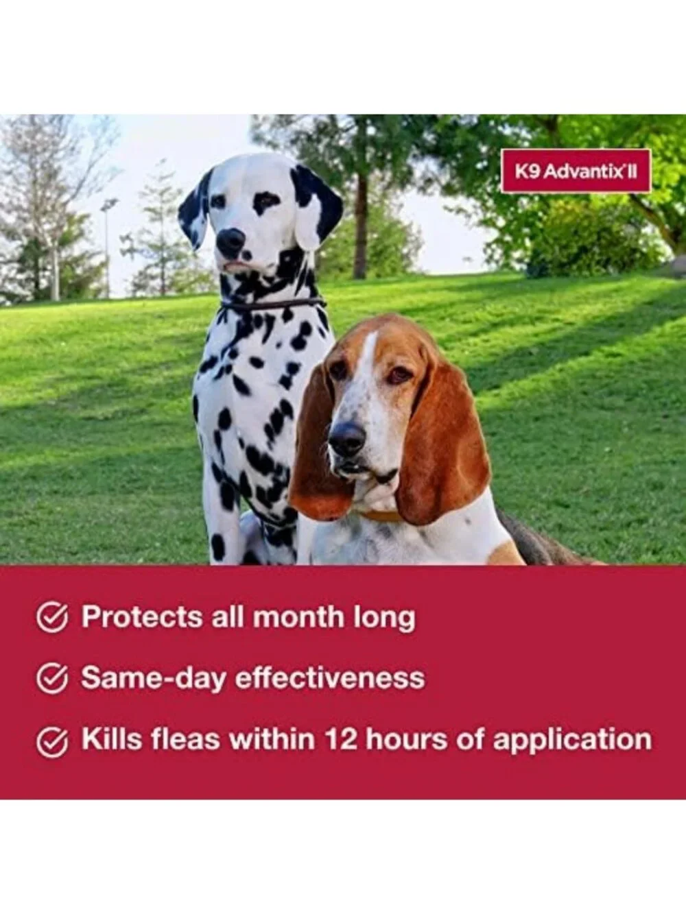 Vet-Recommended Flea, Tick & Mosquito Treatment for Large Dogs 55+ lbs | 6-Mo